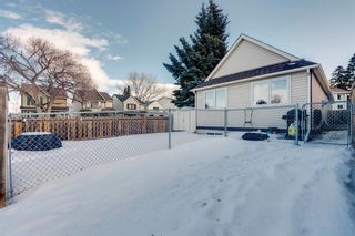 Photo 40: 41 Queen Anne Close SE in Calgary: Queensland Detached for sale : MLS®# A2021417