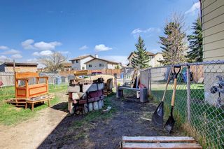 Photo 41: 220 Whitworth Way NE in Calgary: Whitehorn Semi Detached (Half Duplex) for sale : MLS®# A1215186