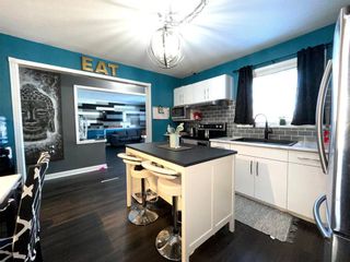 Photo 12: 438 Burrin Avenue in Winnipeg: West Kildonan Residential for sale (4D)  : MLS®# 202301664