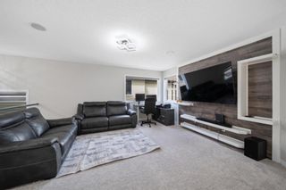 Photo 31: 16 Skyview Springs Crescent NE in Calgary: Skyview Ranch Detached for sale : MLS®# A1206315