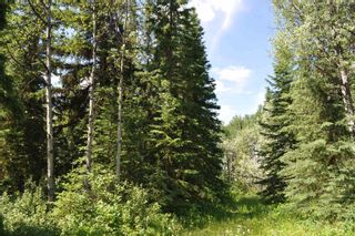 Photo 4: BOURGON ROAD in Smithers: Telkwa - Rural Land for sale (Smithers And Area)  : MLS®# R2700048
