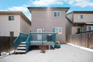 Photo 30: 33 Panora Hill NW in Calgary: Panorama Hills Detached for sale : MLS®# A2124569