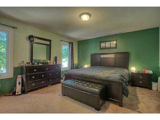 Photo 10: 2307 MORRIS Crescent SE: Airdrie Residential Detached Single Family for sale : MLS®# C3625824