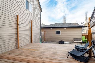 Photo 27: 121 Copperstone Grove SE in Calgary: Copperfield Detached for sale : MLS®# A1175297