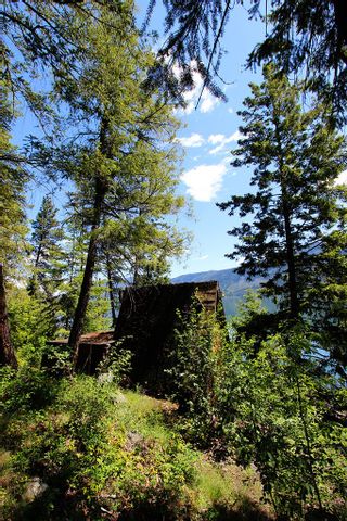 Photo 8: 3872 Point Road in Chase: Little Shuswap Lake House for sale : MLS®# 152250