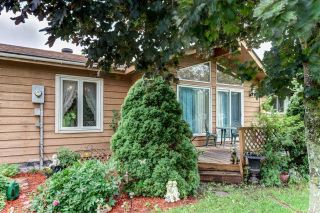 Photo 3: 209 Evans Street in Grey Highlands: Flesherton House (Bungalow) for sale : MLS®# X5307909