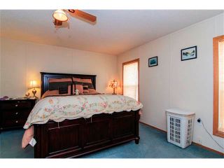 Photo 21: 241003 RR235: Rural Wheatland County House for sale : MLS®# C4005780