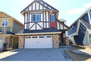 Photo 1: 286 Mountainview Drive: Okotoks Detached for sale : MLS®# A2126429