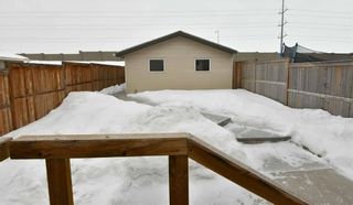 Photo 28: 146 CRANBERRY Close SE in Calgary: Cranston House for sale : MLS®# C4166385