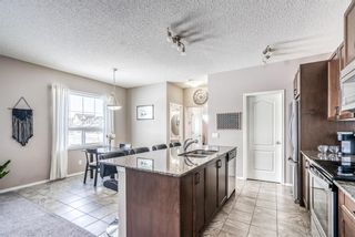 Photo 16: 93 Skyview Ranch Boulevard NE in Calgary: Skyview Ranch Detached for sale : MLS®# A1182298