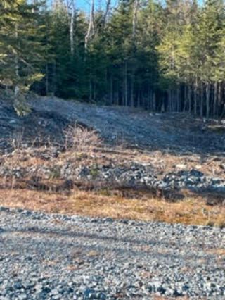 Photo 6: Lot 59 Riverside Drive in Goldenville: 303-Guysborough County Vacant Land for sale (Highland Region)  : MLS®# 202301633
