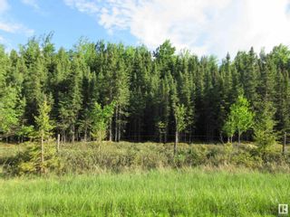 Photo 1: RR 223 Twp Rd 612: Rural Thorhild County Vacant Lot/Land for sale : MLS®# E4318874