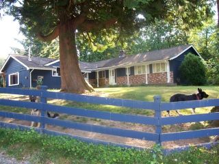 Photo 3: 11380 248 Street in Maple Ridge: Cottonwood MR House for sale : MLS®# R2058699