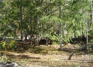 Photo 14: 6037 Eagle Bay Road in Eagle Bay: Million Dollar Alley Vacant Land for sale : MLS®# 10205016