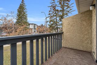 Photo 25: 1420 28 Street SW in Calgary: Shaganappi Full Duplex for sale : MLS®# A2043240