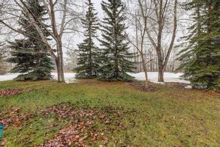 Photo 40: 9002 Scurfield Drive NW in Calgary: Scenic Acres Detached for sale : MLS®# A2128352