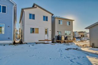 Photo 49: 175 Belvedere Green SE in Calgary: Belvedere Detached for sale : MLS®# A2094403