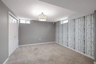 Photo 29: 10419 Maplecreek Drive SE in Calgary: Maple Ridge Detached for sale : MLS®# A1233460