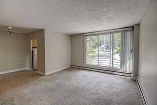 Photo 5: 401 1027 Cameron Avenue SW in Calgary: Lower Mount Royal Apartment for sale : MLS®# A2060947