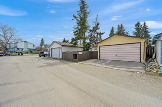 Photo 6: 3035 32A Avenue SE in Calgary: Dover Detached for sale : MLS®# A1211168