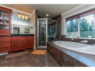Photo 11: 32510 PTARMIGAN Drive in Mission: Mission BC House for sale : MLS®# F1446228