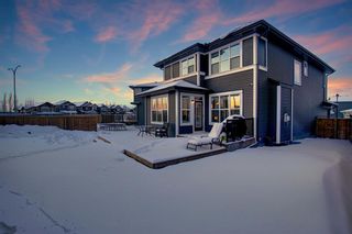 Photo 40: 278 Kingfisher Crescent SE: Airdrie Detached for sale : MLS®# A1068336