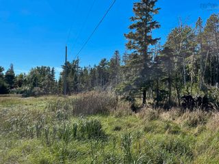 Photo 3: Lot Borgels Shore Drive in Chester Basin: 405-Lunenburg County Vacant Land for sale (South Shore)  : MLS®# 202222857