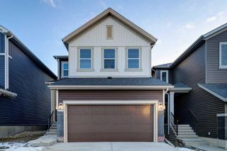 Photo 32: 125 Amblehurst Green NW in Calgary: C-527 Detached for sale : MLS®# A2098783