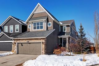 Photo 31: 341 Chaparral Valley Mews SE in Calgary: Chaparral Detached for sale : MLS®# A2030325