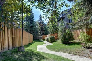 Photo 42: 3 109 Grier Terrace NE in Calgary: Greenview Row/Townhouse for sale : MLS®# A2081343