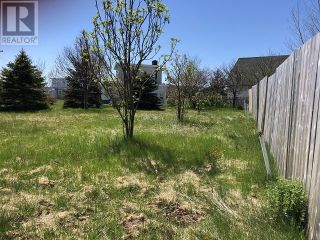 Photo 1: 65 Ohio Drive in Stephenville: Vacant Land for sale : MLS®# 1234009
