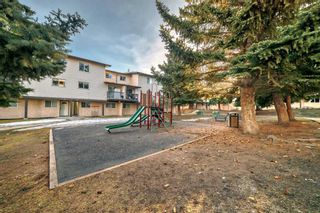 Photo 34: 15 3745 Fonda Way SE in Calgary: Forest Heights Row/Townhouse for sale : MLS®# A2115596