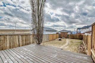 Photo 36: 145 Elgin Place SE in Calgary: McKenzie Towne Semi Detached (Half Duplex) for sale : MLS®# A2025646