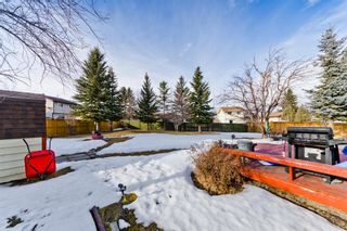Photo 4: 19 Pinebrook Place NE in Calgary: Pineridge Detached for sale : MLS®# A1077648