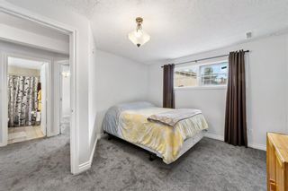 Photo 22: 255 Erin Woods Drive SE in Calgary: Erin Woods Detached for sale : MLS®# A1251085