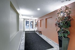 Photo 36: 1106 279 Copperpond Common SE in Calgary: Copperfield Apartment for sale : MLS®# A2010739