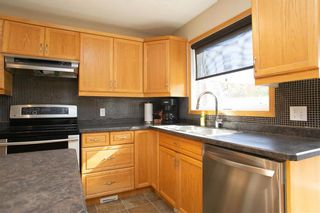 Photo 15: 183 Nordstrom Drive in Winnipeg: Island Lakes Residential for sale (2J)  : MLS®# 202327944
