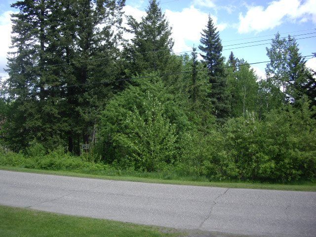 Main Photo: 364 DENNIS ROAD in : Quesnel - Town Land for sale : MLS®# R2308862