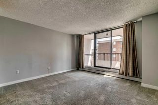 Photo 19: 5D 133 25 Avenue SW in Calgary: Mission Apartment for sale : MLS®# A2068257