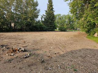Photo 8: 4522 45 Street: Castor Residential Land for sale : MLS®# A2067997