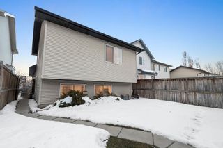 Photo 22: 223 Cranberry Way SE in Calgary: Cranston Detached for sale : MLS®# A2012023