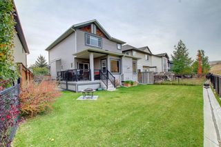 Photo 45: 68 Chaparral Valley Terrace SE in Calgary: Chaparral Detached for sale : MLS®# A1152687