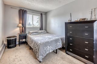 Photo 10: 403 60 38A Avenue SW in Calgary: Parkhill Apartment for sale : MLS®# A1250623