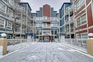 Main Photo: 263 333 RIVERFRONT Avenue SE in Calgary: Downtown East Village Apartment for sale : MLS®# C4241049