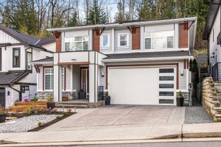 Photo 1: 33974 TOOLEY Place in Mission: Mission BC House for sale : MLS®# R2865549