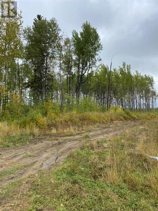 Photo 3: 14113, 774 Township Road in Rural Big Lakes County: Vacant Land for sale : MLS®# A2052917