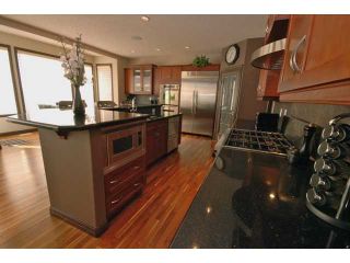 Photo 1:  in Edmonton: Summerside House for sale : MLS®# E3288091