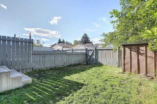 Photo 50: 18 12 TEMPLEWOOD Drive NE in Calgary: Temple Row/Townhouse for sale : MLS®# A1021832