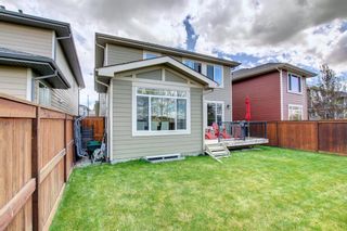 Photo 48: 21 Cranbrook Place SE in Calgary: Cranston Detached for sale : MLS®# A1219655