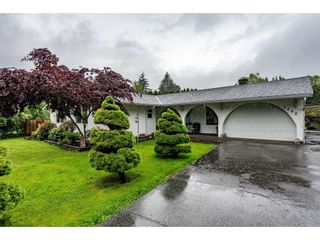 Photo 1: 2492 CAMERON Crescent in Abbotsford: Abbotsford East House for sale : MLS®# R2464314